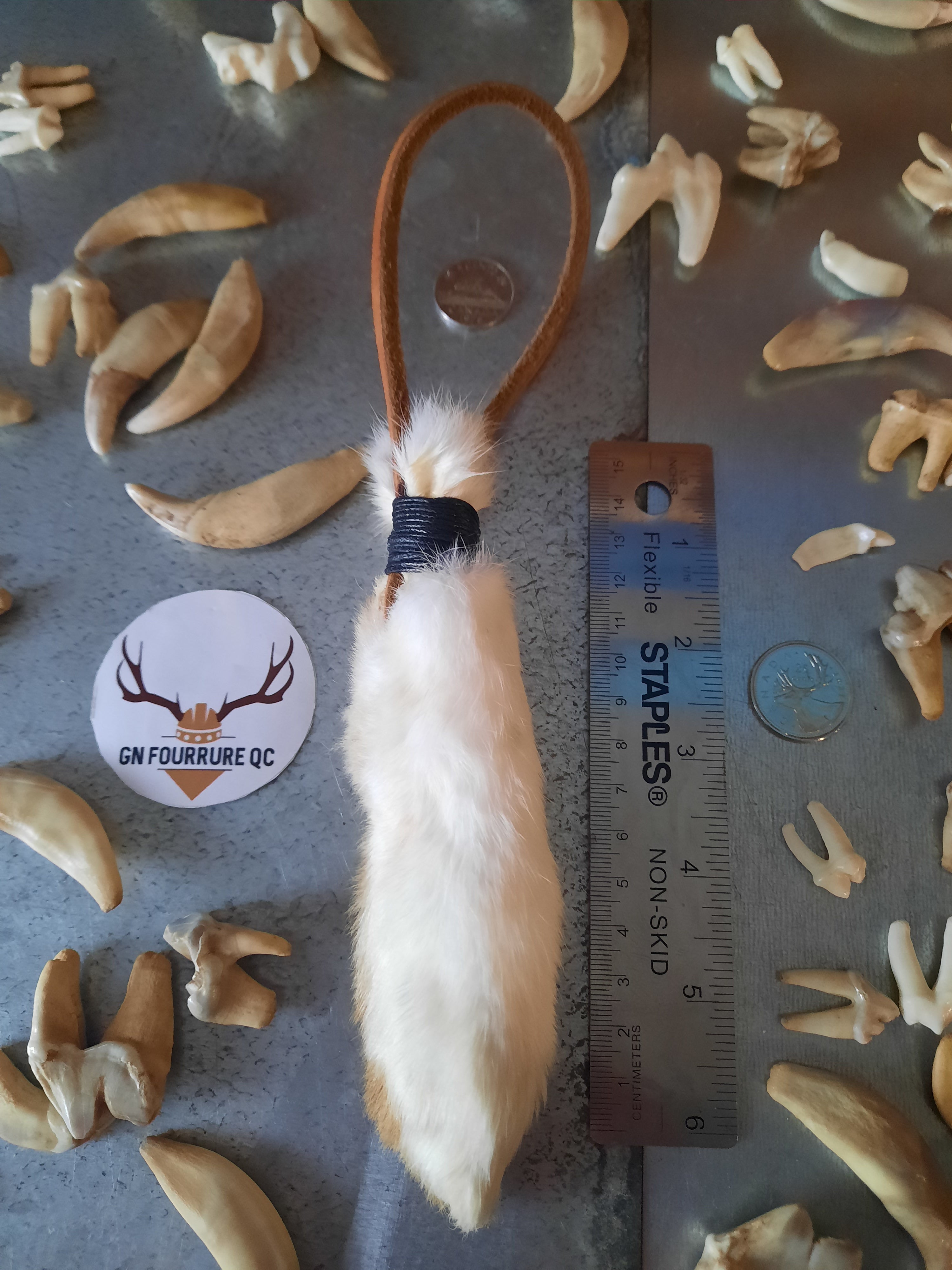 Rabbit Foot with Leather Strap – Medieval Fur