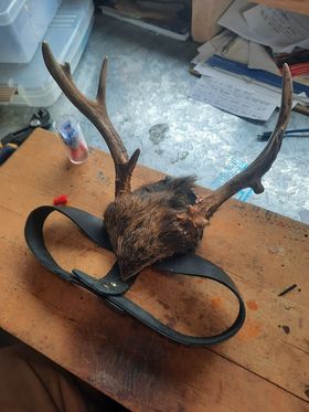 Deer Antler Headdress
