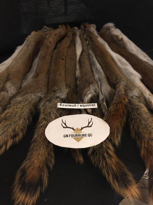 Red Squirrel Fur