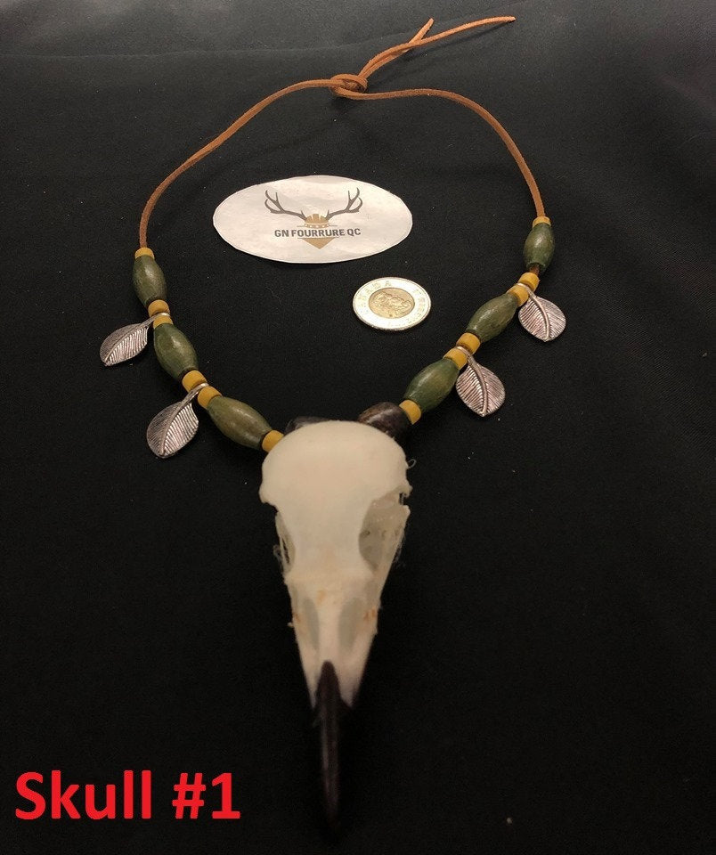 Raccoon Skull and Bone Necklace Myval - Etsy