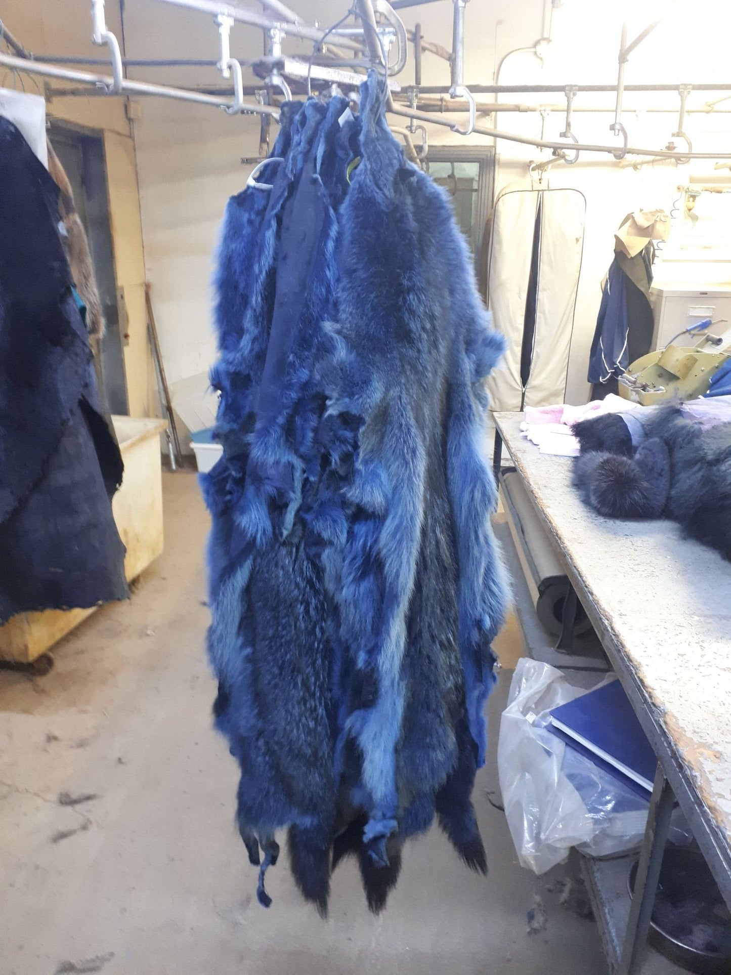 Coyote Fur Skin, Dyed
