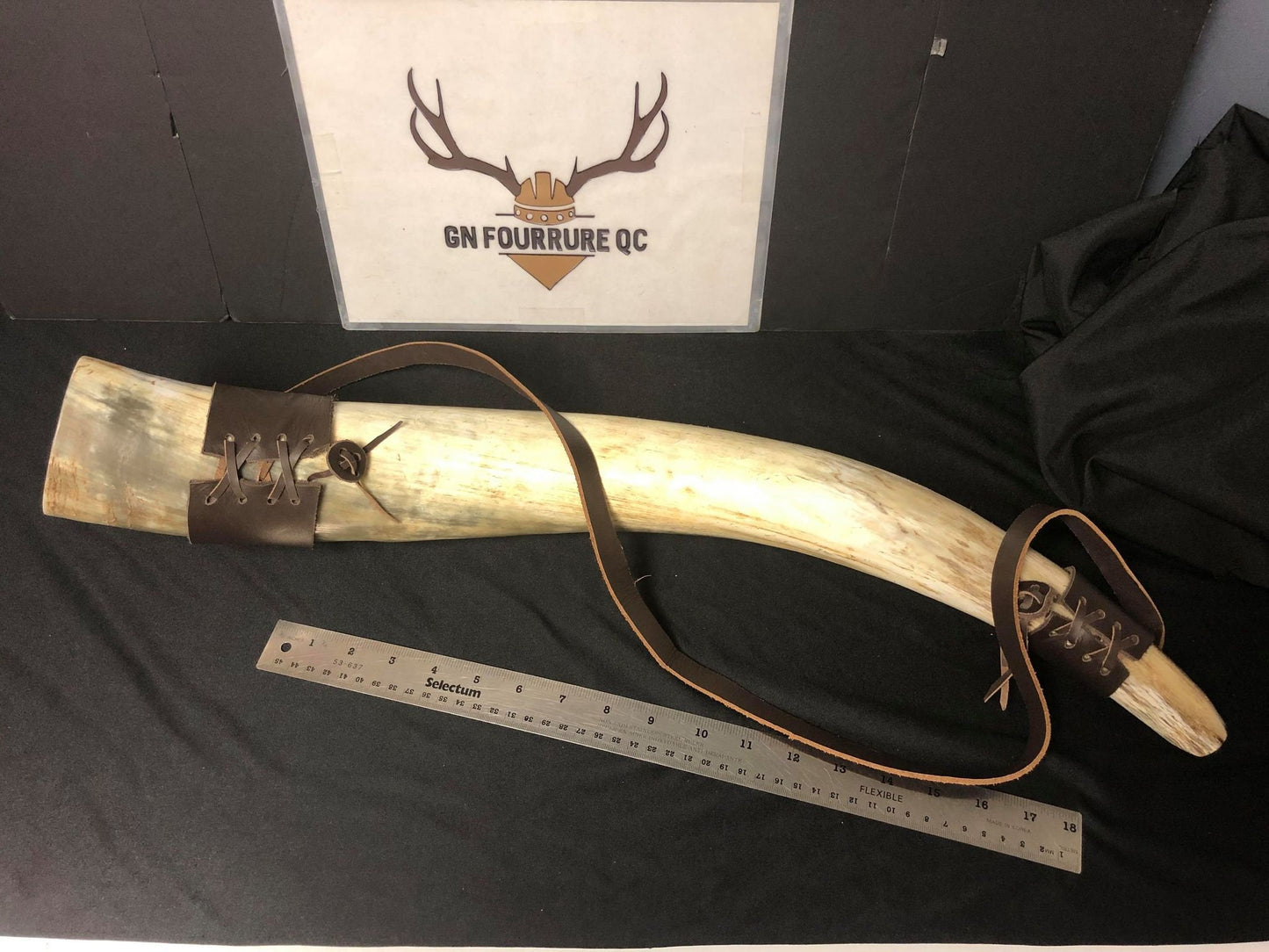 Viking War Horns