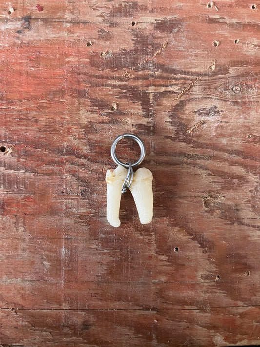 Bear Premolar Tooth Pendant