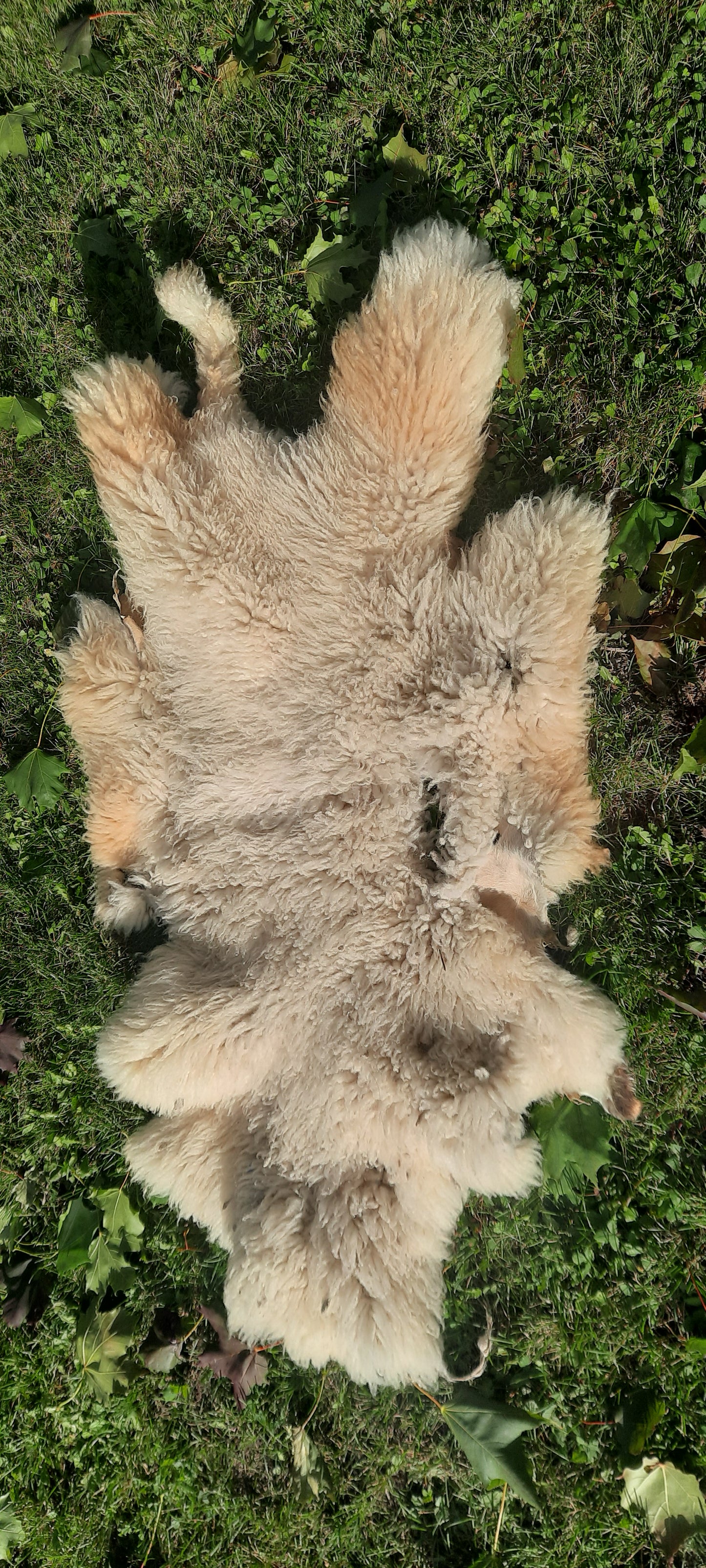 Natural sheep fur