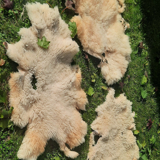 Natural sheep fur