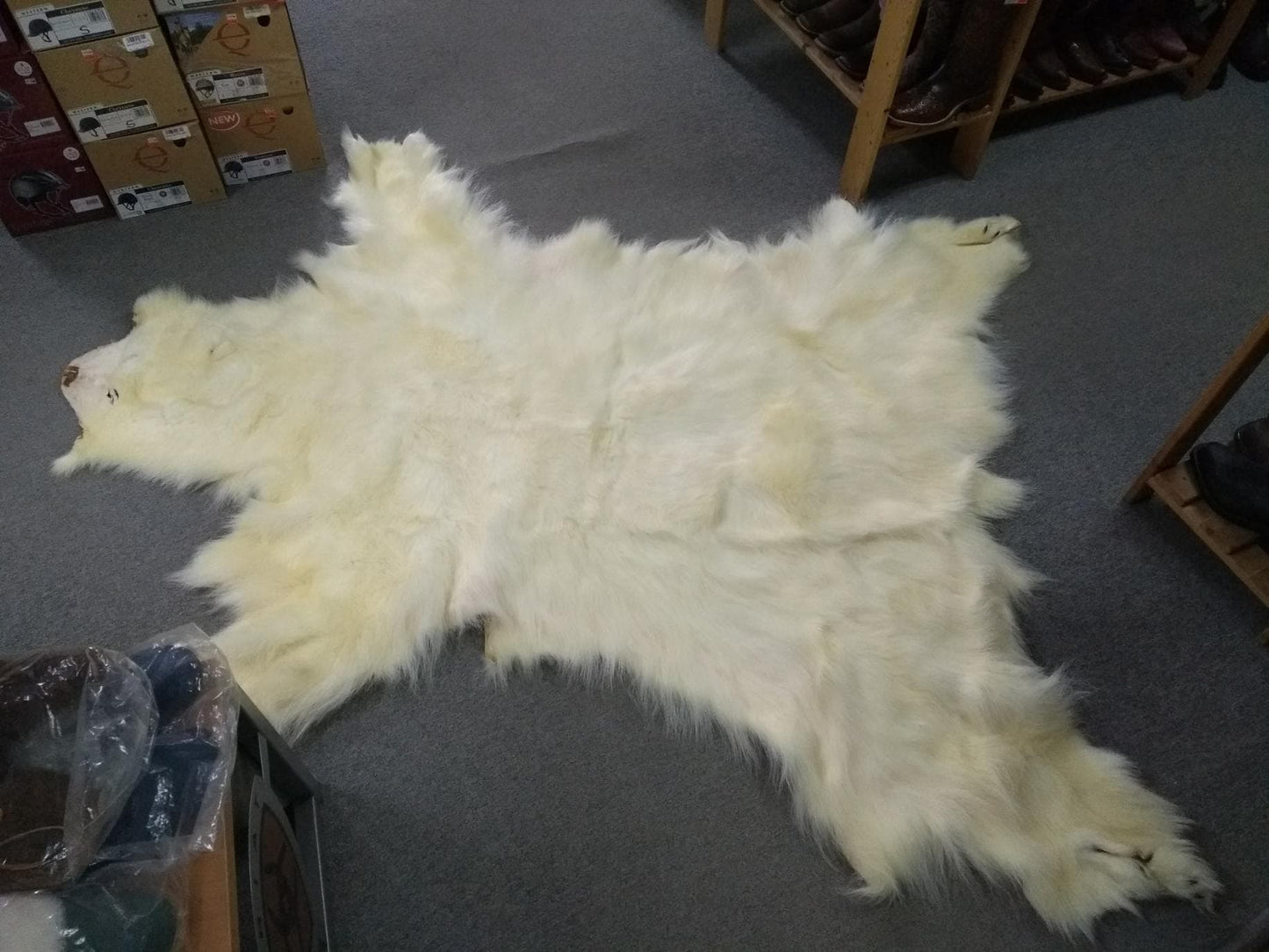 Polar Bear Fur Pelt