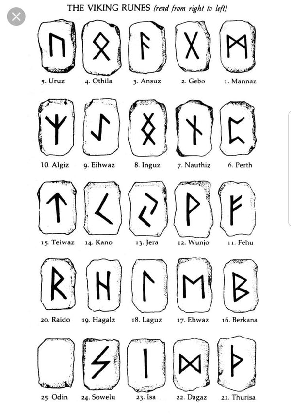 Deer Antler Slices with Viking Runes – Medieval Fur